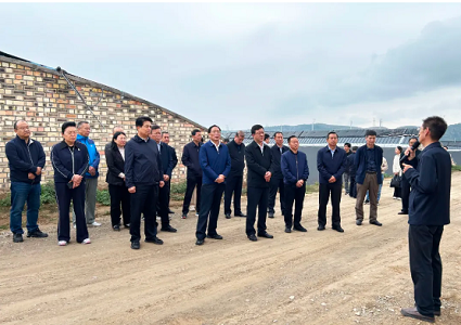 1727334671893357.png 1727334528907.png