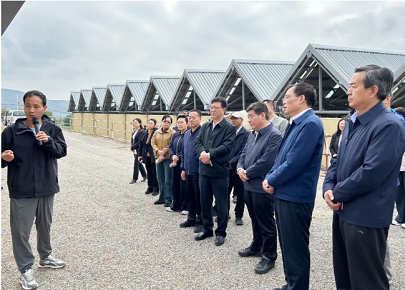 1727334656949231.png 1727334486058.png